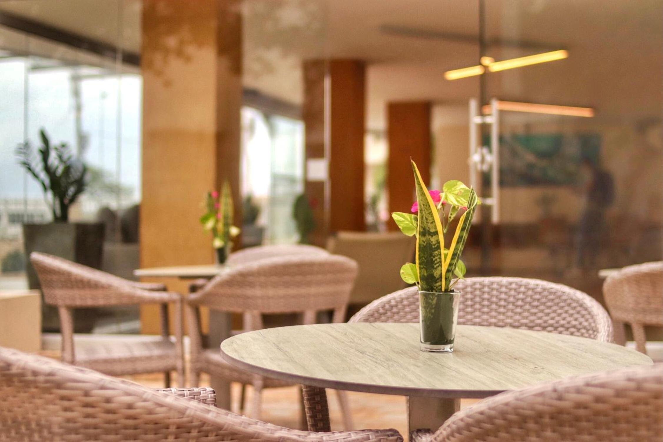 Oceania Cartagena