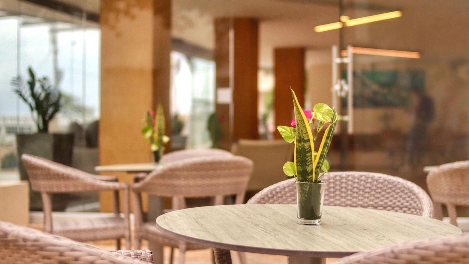 Oceania Cartagena